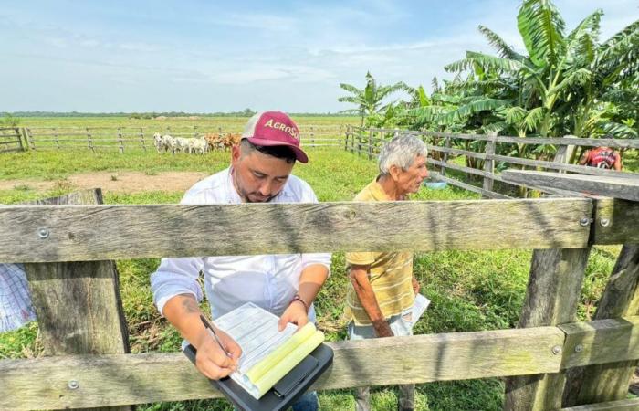 Ecopetrol rafforza i produttori agricoli di Casanare con il programma Agrosol