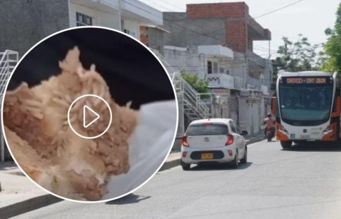 Terrificante: A San José de los Campamos hanno trovato dei vermi dentro un pane