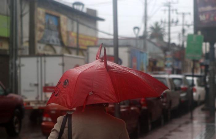 Sistema frontale nella regione di Coquimbo: quanta pioggia è caduta a La Serena e Ovalle