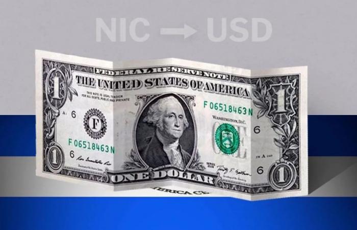 Valore di chiusura del dollaro in Nicaragua questo 14 giugno da USD a NIO