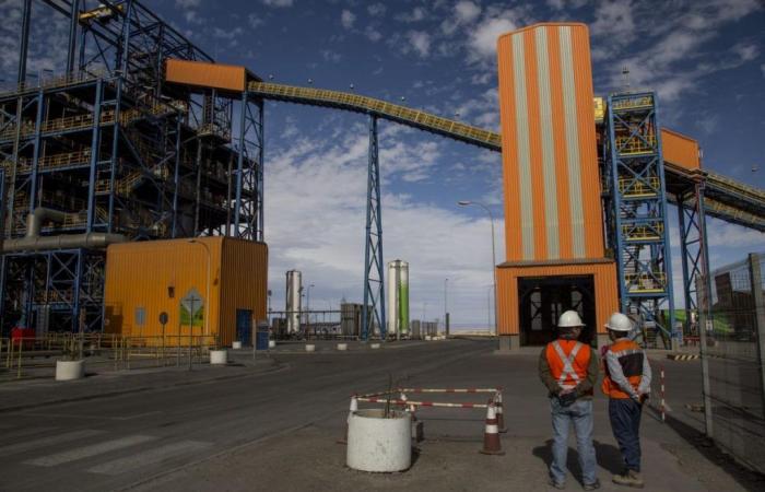Il sindacato minerario Spence in Cile accetta l’offerta di stipendio di BHP