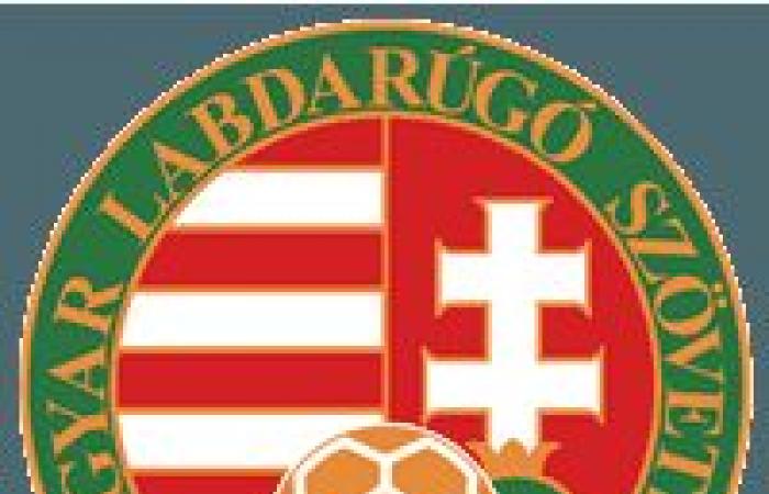 Ungheria vs. Svizzera, per Euro 2024: gol, polemiche e altro ancora