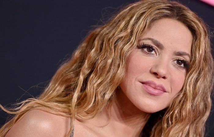 Shakira ha rivelato i veri piani che aveva con Piqué prima di lasciarsi; Clara Chía pose fine a loro