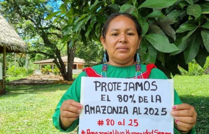Il 71% dell’Amazzonia non è protetto dalle principali banche che finanziano l’estrazione di petrolio e gas nella regione