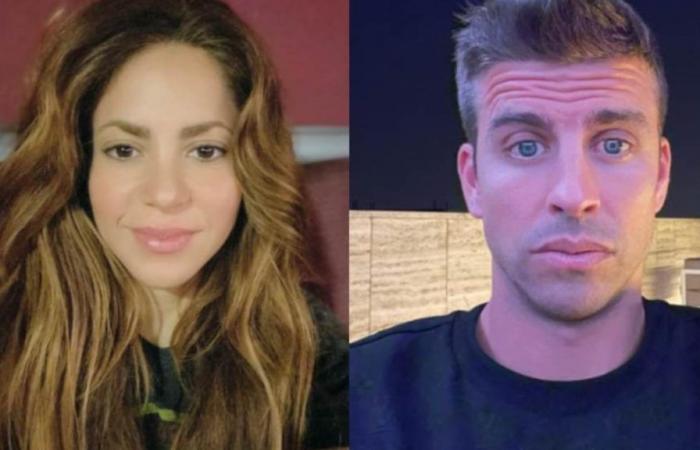Shakira ha rivelato i veri piani che aveva con Piqué prima di lasciarsi; Clara Chía pose fine a loro