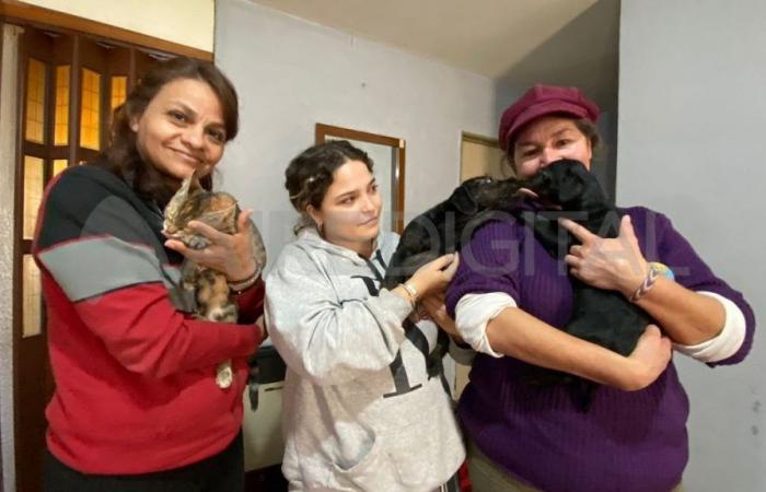 una ONG che dedica la sua vita al salvataggio dei cani e dei gatti di Santa Fe