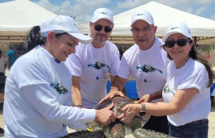 La multinazionale celebra la Giornata mondiale delle tartarughe marine