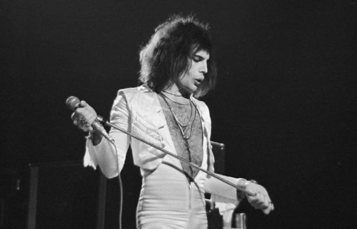 Ciò su cui ha lavorato Freddie Mercury prima di brillare con i Queen