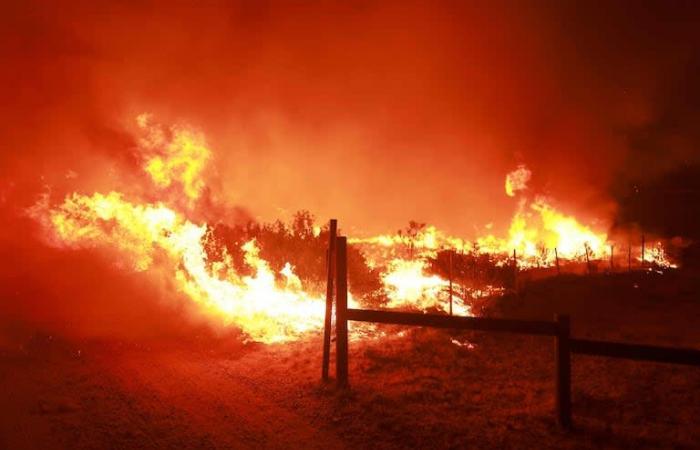 Un incendio devasta migliaia di ettari a nord di Los Angeles e provoca l’evacuazione di 1.200 persone