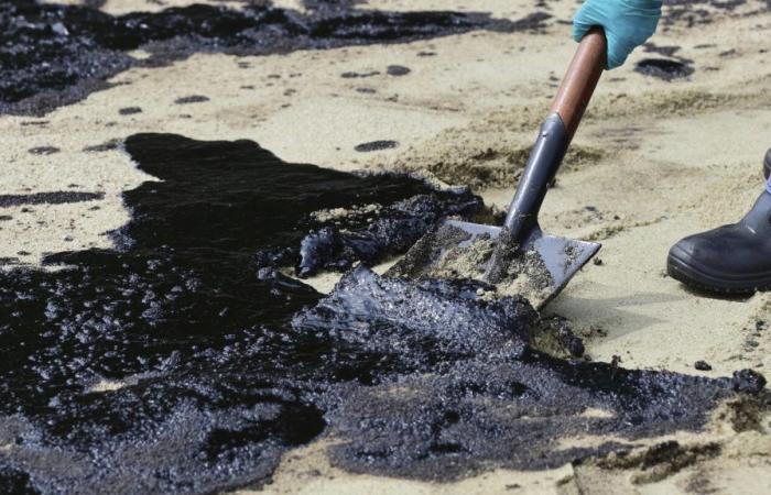 Singapore ripulisce la fuoriuscita di petrolio causata dall’impatto di una draga su una petroliera