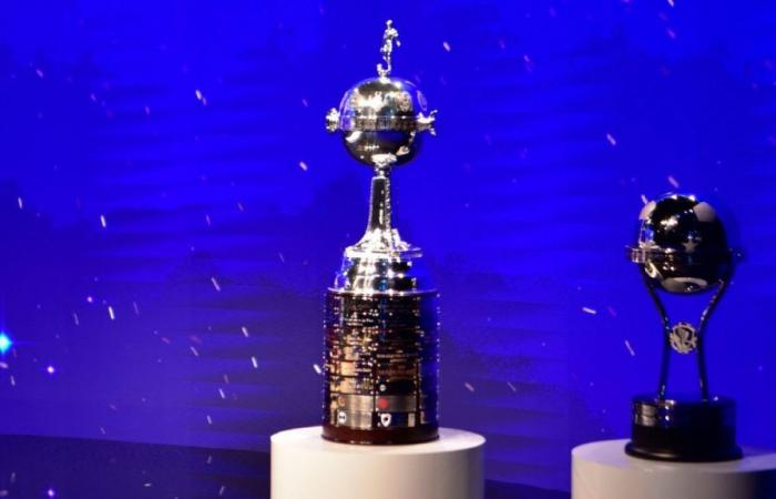 Come vengono definite le 8 quote FPC per Libertadores e Sudamericana 2025?