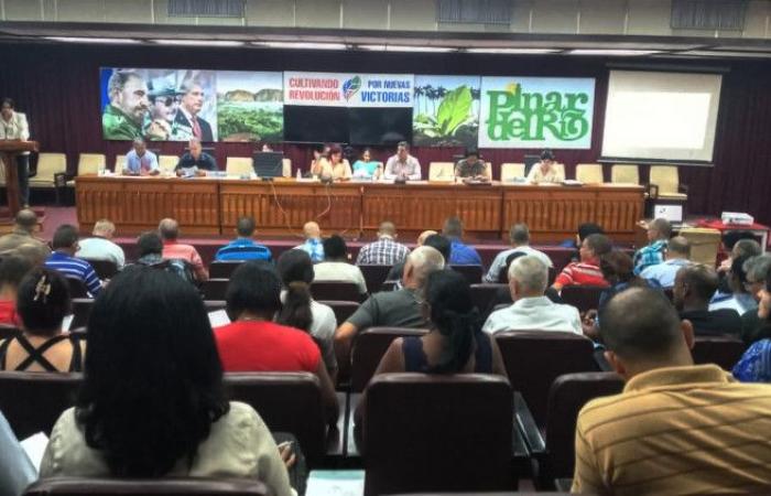 La produzione alimentare al centro dell’attenzione della Plenaria del Partito a Pinar del Río
