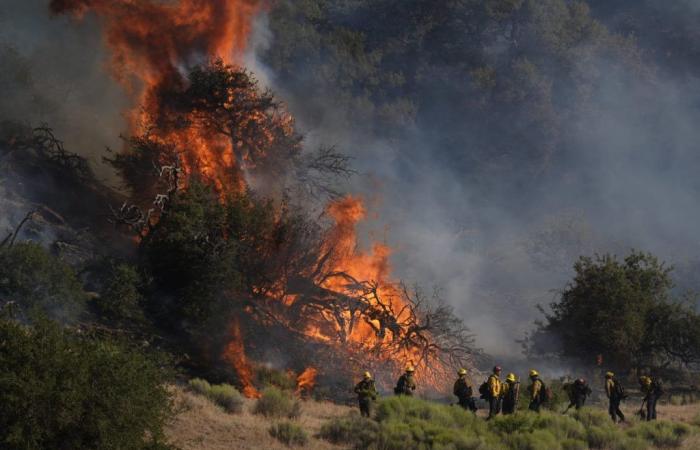 Gli incendi che bruciano a nord di Los Angeles si diffondono mentre vengono emessi gli ordini di evacuazione