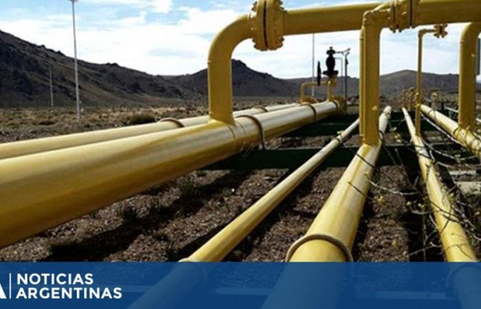 Enarsa ha concordato con la Bolivia di continuare la fornitura di gas per soddisfare la domanda nel nord del paese