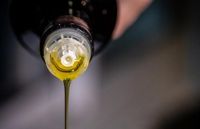 Un esperto di olio d’oliva spiega se fa davvero bene alla salute