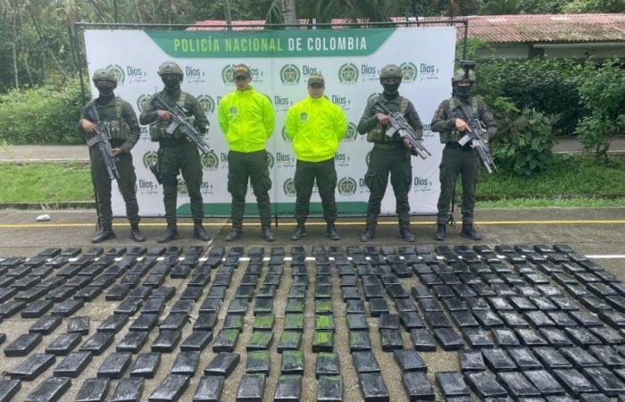 La polizia colombiana ha sequestrato 500 chili di cocaina pura al “trafficante invisibile”, partner del “clan del Golfo”
