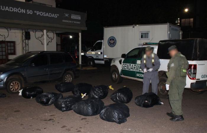 Sulla strada e in montagna: il GNA ha arrestato due donne e sequestrato 137 chili di marijuana e 8 chili di cocaina a Misiones