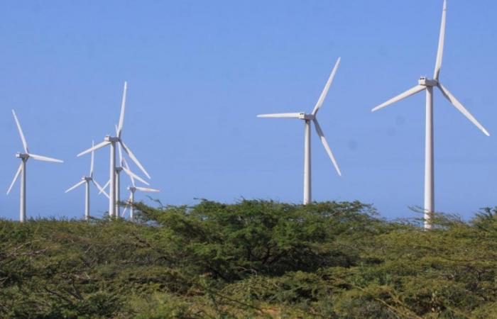 Con la licenza ambientale di Colectora potranno essere collegati alla rete nazionale oltre 1.000 MW di energia eolica