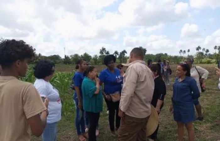 Articolo: La FMC di Matanzas con le donne proprietarie in usufrutto