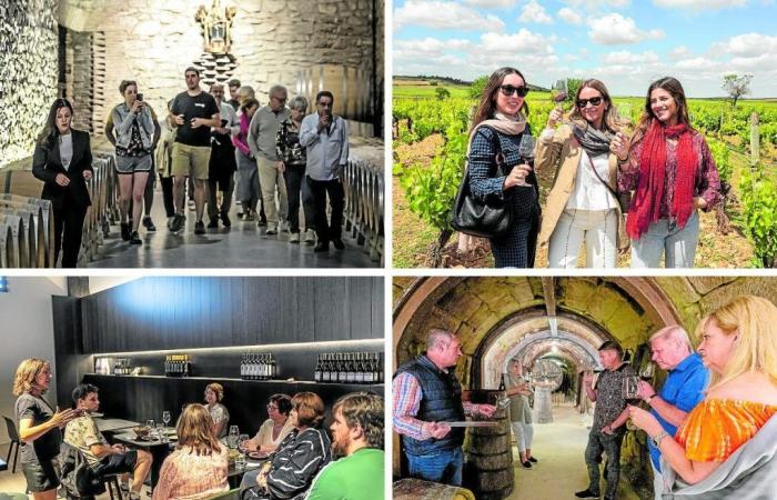 Quattro storie di successo nell’enoturismo a La Rioja