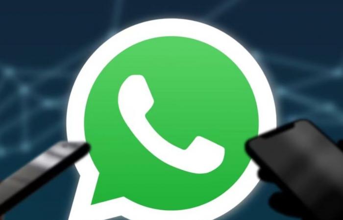 WhatsApp lancerà un aggiornamento tanto atteso che cambierà per sempre il modo di usarlo: quando verrà rilasciato?