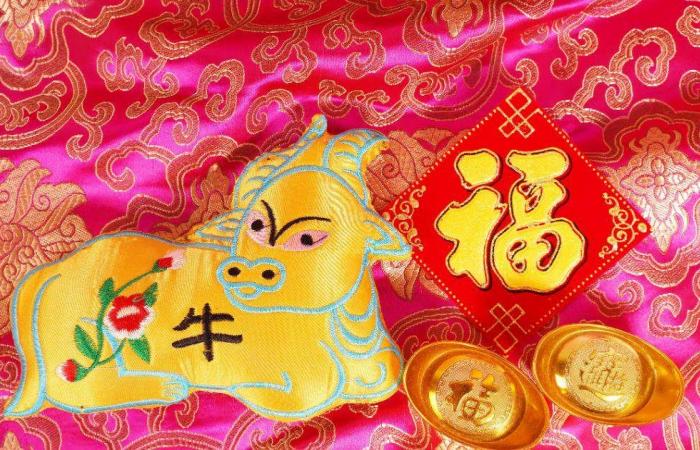 Come andrà per te la settimana dal 17 al 23 giugno secondo l’astrologia cinese in amore, salute e denaro