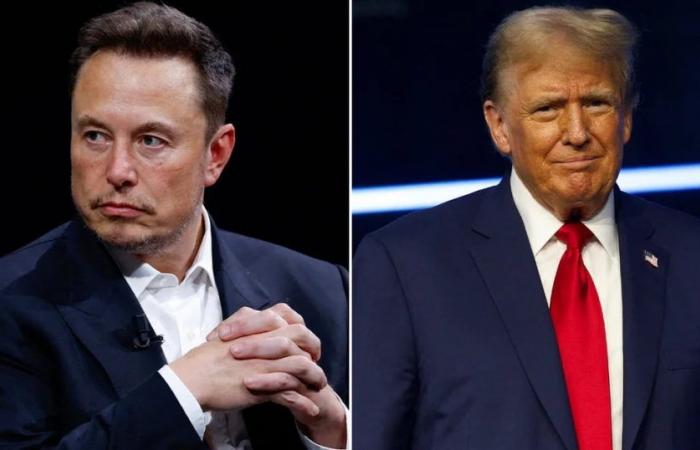 Elon Musk ha rivelato i dettagli della sua relazione con Donald Trump