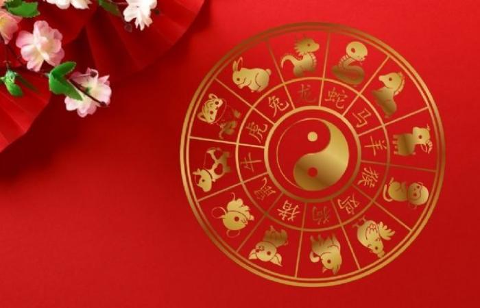 Oroscopo cinese: 3 animali che realizzeranno i loro sogni agendo con prudenza tra il 16 e il 24 giugno 2024