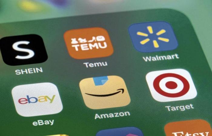 Temu, Shein, AliExpress: app per lo shopping online: è sicuro fare acquisti lì?