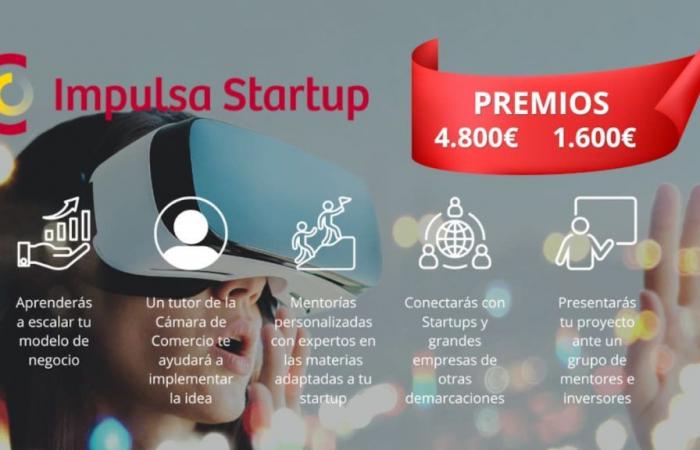 La Camera di Commercio di Palencia partecipa al Programma Impulsa Startup | Presente