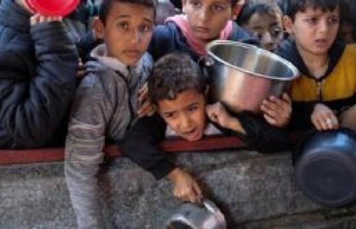 Crisi nutrizionale osservata per i bambini a Gaza – Escambray