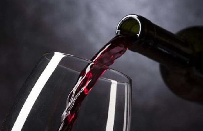 I 5 migliori vini argentini secondo l’intelligenza artificiale
