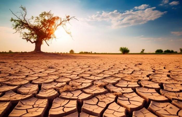 Quali sono le sfide che l’Argentina e l’America Latina devono affrontare di fronte alla crescente siccità?