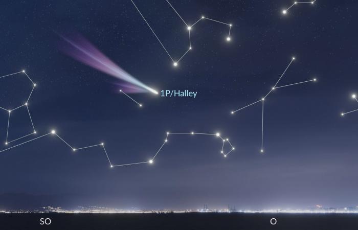 La cometa di Halley | Prossima visita della cometa di Halley | Quando morirà la cometa di Halley?