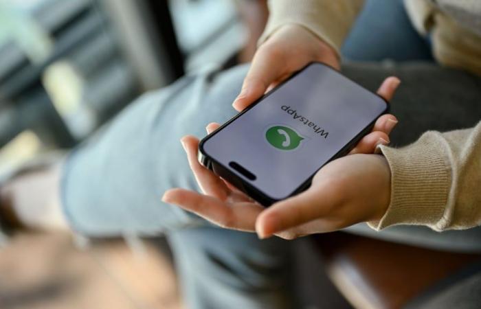 WhatsApp testa una nuova funzione per personalizzare il design delle chat