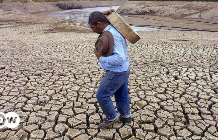 L’UE e l’America Latina contro la desertificazione e la siccità – DW – 18/06/2024