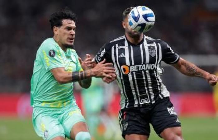 La partita tra Palmeiras e Atlético Mineiro si è conclusa con una dura rissa tra i giocatori: il video diventa virale | Altri campionati di calcio