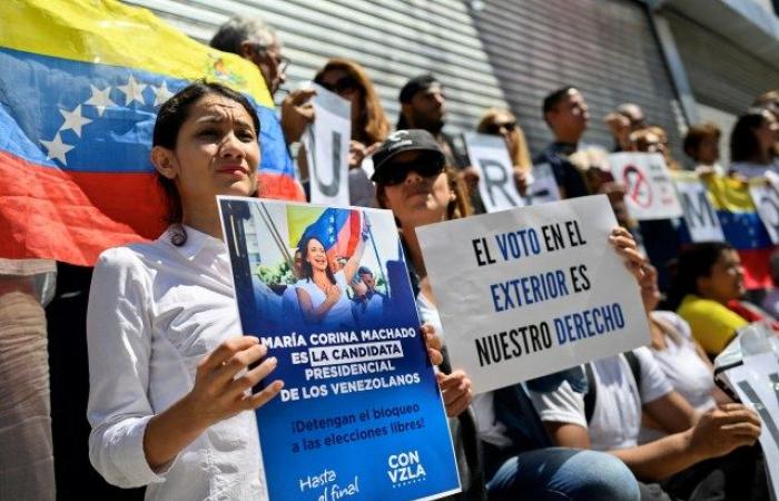 Il Venezuela deve garantire il voto dei connazionali all’estero, senza distinzione di status