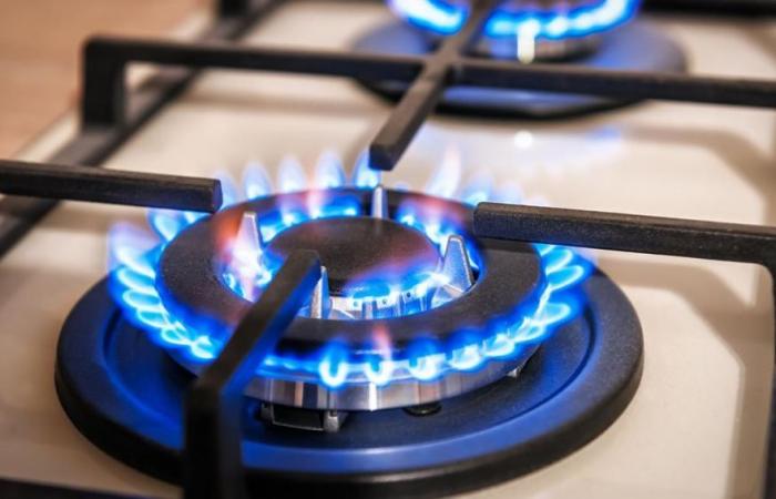 Dopo la riduzione dei sussidi, le tariffe del gas sono aumentate del 1100%