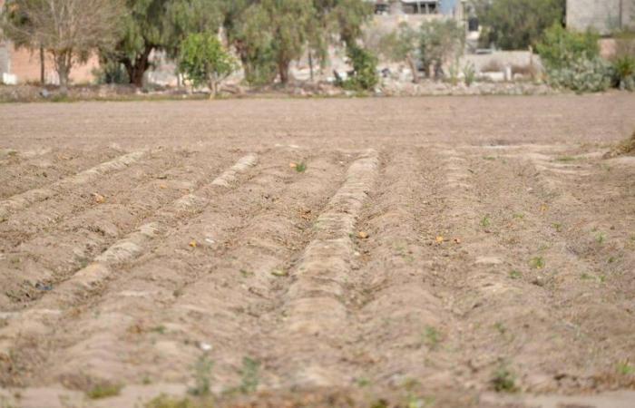 La tempesta “Alberto” raggiungerà San Luis con il 98% del suo territorio in siccità – El Sol de San Luis