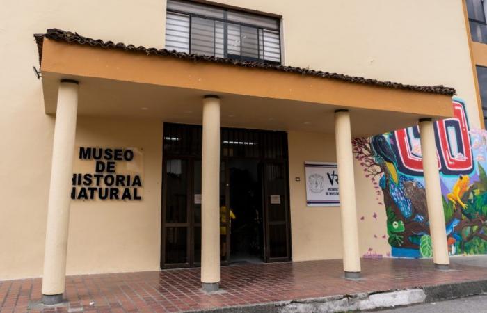 Museo di Storia Naturale dell’Università del Cauca: ubicazione e storia