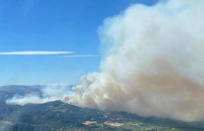 Avviso sanitario della contea di Sonoma emesso a causa del fumo degli incendi