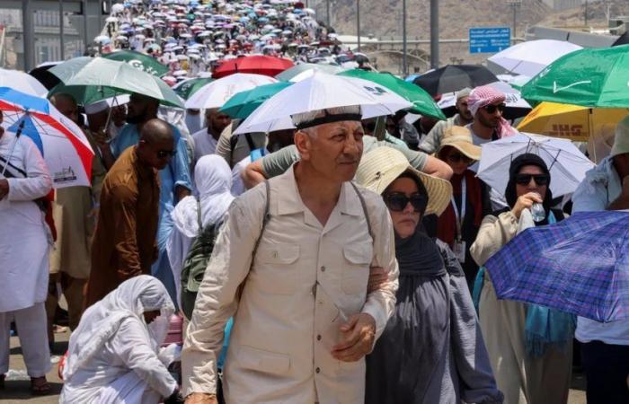 Il bilancio delle vittime è salito a più di 1.000 nel pellegrinaggio alla Mecca segnato dal caldo estremo
