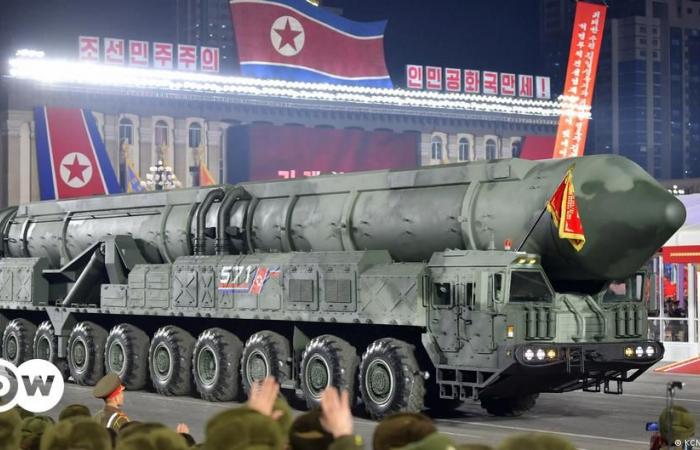 Giappone: L’alleanza Mosca-Pyongyang peggiora la sicurezza regionale – DW – 20/06/2024