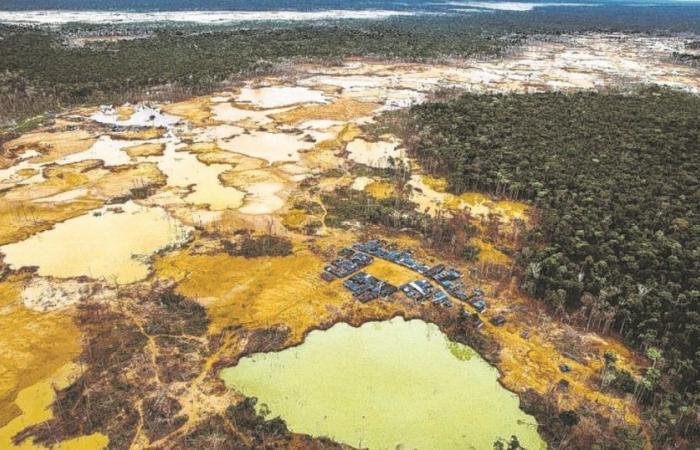 L’insaziabile domanda globale di oro devasta l’Amazzonia in Perù