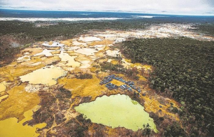 L’insaziabile domanda globale di oro devasta l’Amazzonia in Perù