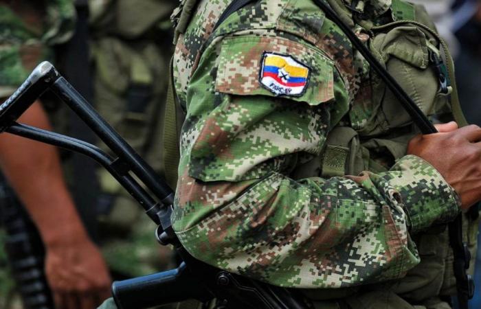 Si sono arresi membri delle Farc, tra cui due minorenni, nel dipartimento di Cauca – LaVibrante.Com