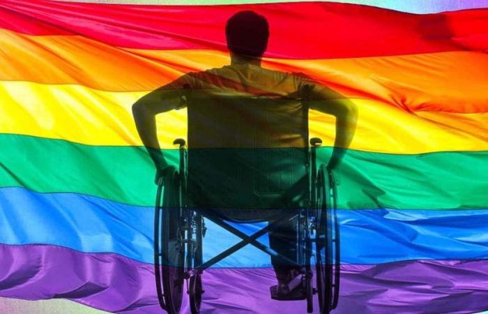Le persone con diversità sessuale e le persone con disabilità avranno a malapena una rappresentanza in SLP – Astrolabio