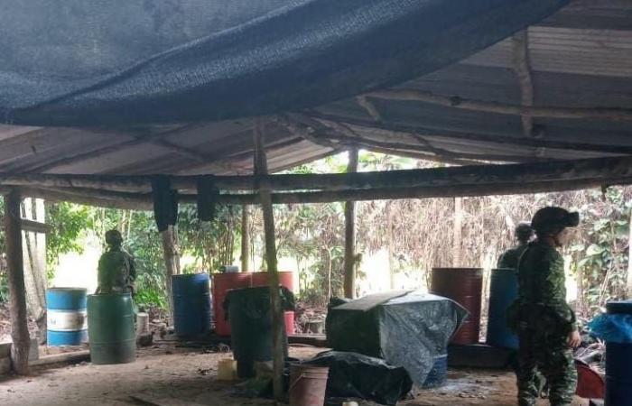 L’esercito individua e distrugge due nuovi laboratori di coca a San José de Uré