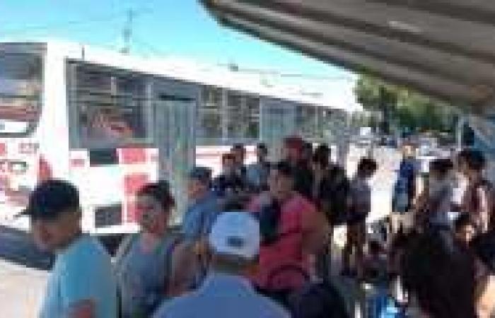 Si impegnano alla restituzione del biglietto “per tratte” nel trasporto urbano di Bariloche